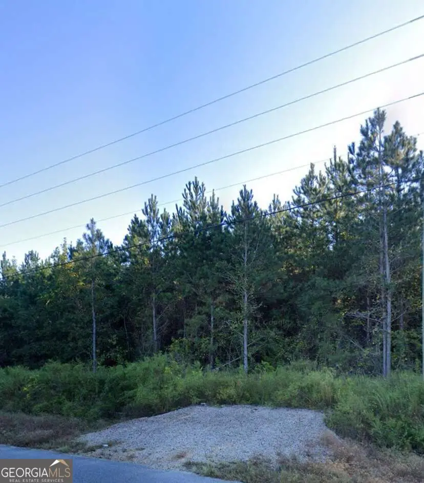 0 Willie Varnum Road, Dothan, AL 36301 - #1