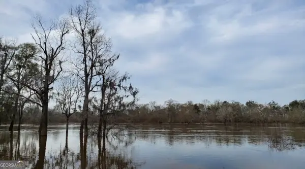0 Deen Landing Road, Baxley, GA 31513