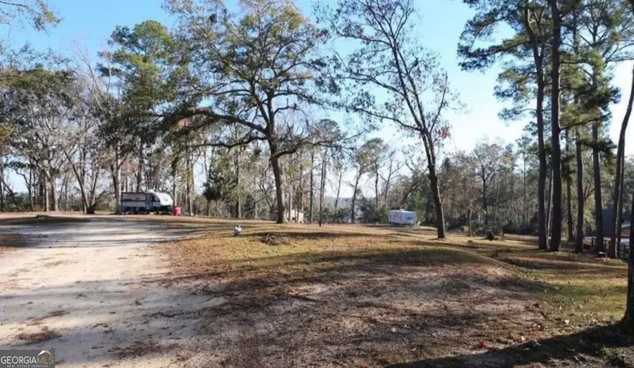 0 Deen Landing Road, Baxley, GA 31513 - #2