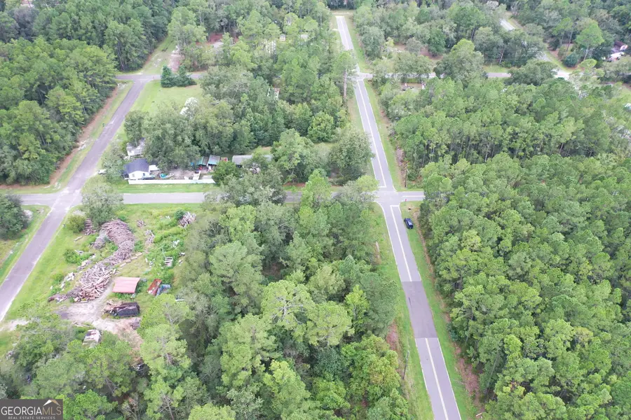 140 Pine Street, Homeland, GA 31537 - #3