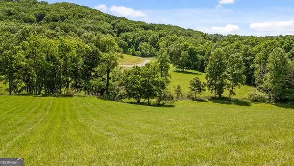 LOT 11 Squirrel Hunting Road, Morganton, GA 30560