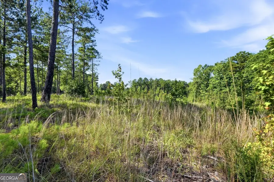680 Giles Road, Forsyth, GA 31029 - #2