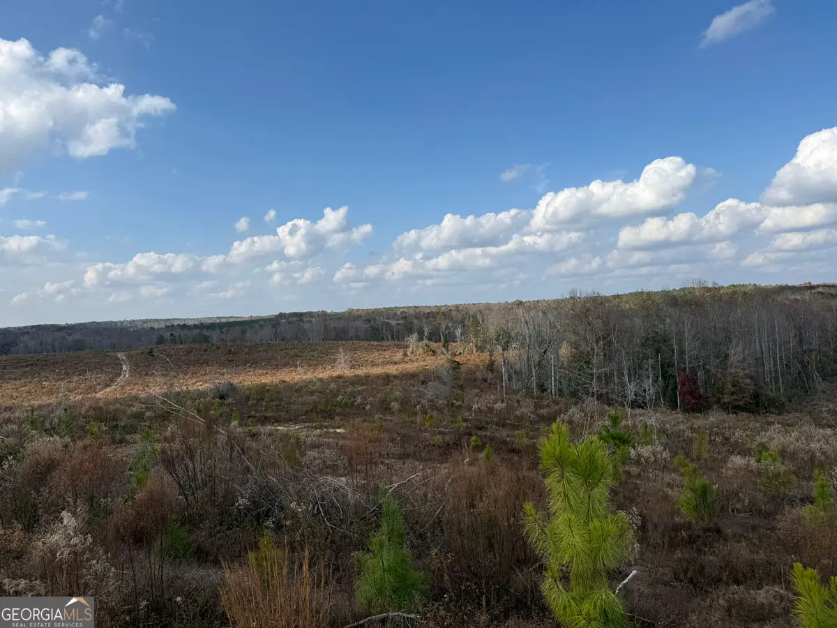 994 Joe Jones Rd, Ideal, GA 31041 - #1