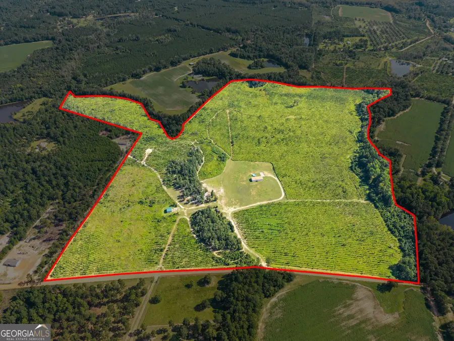 1802 Moore Road S, Register, GA 30452 - #3