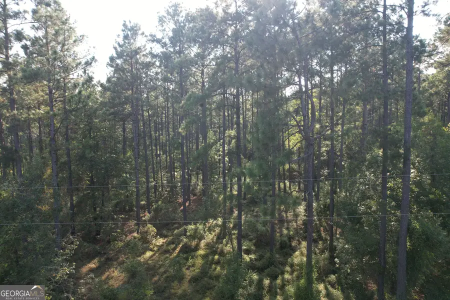 0 Regina Drive, Dublin, GA 31021 - #3