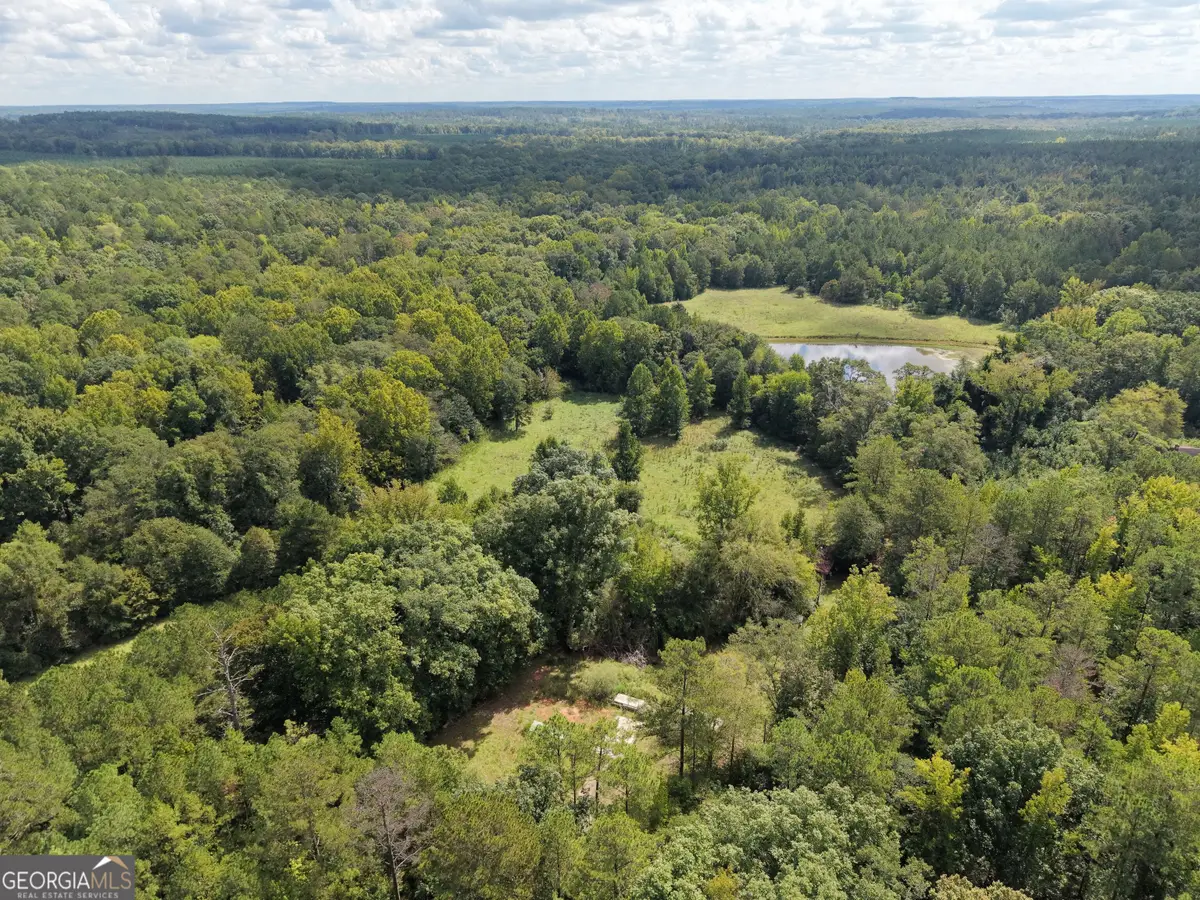 8117 Linton Rd, Sparta, GA 31087 - #1