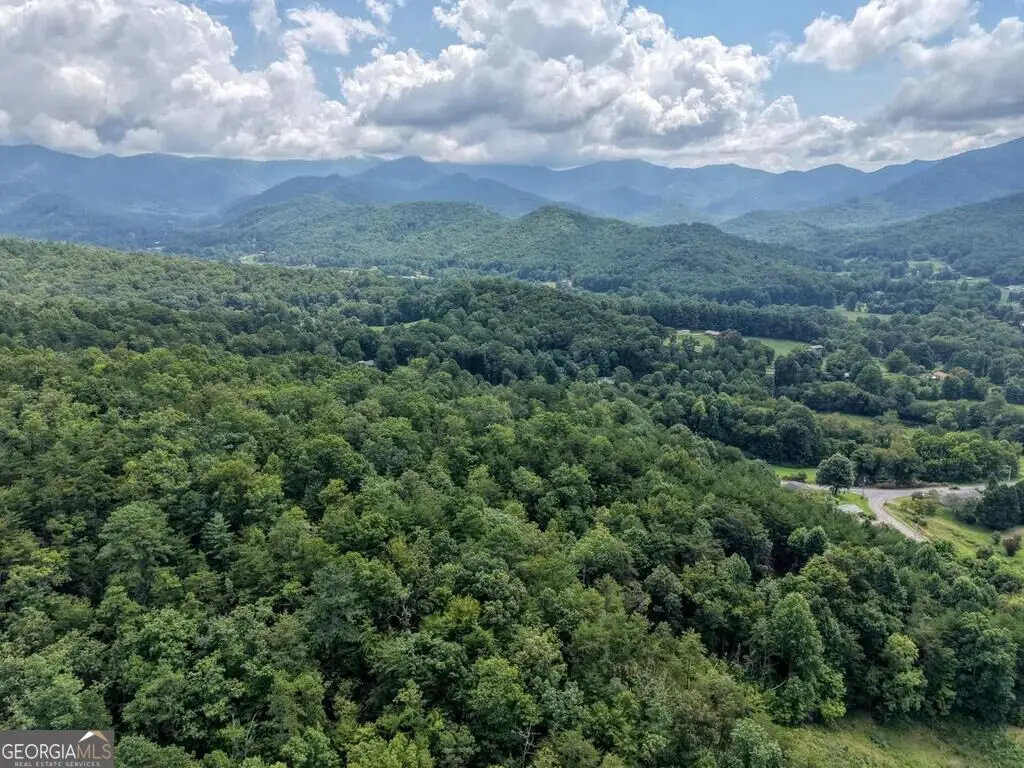 LOTS 1-8 Teaks Drive, Hayesville, NC 28904 - #1