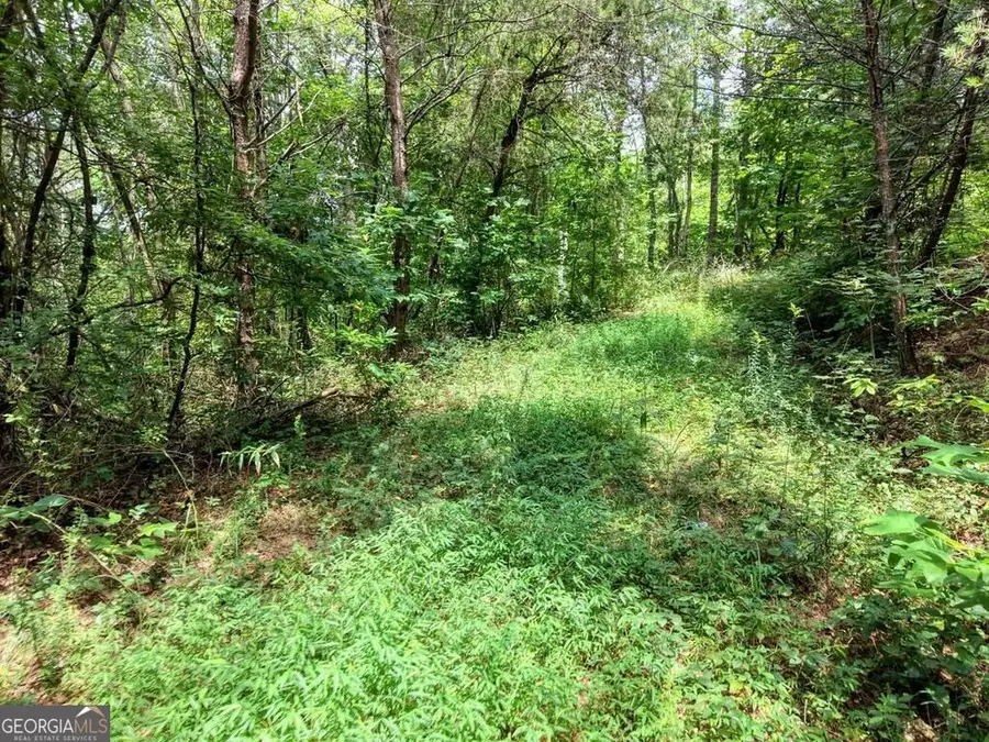 LOTS 1-8 Teaks Drive, Hayesville, NC 28904 - #3