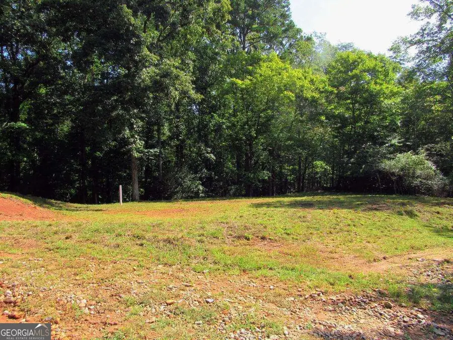 343 Hollybrook Road, Dahlonega, GA 30533 - #3