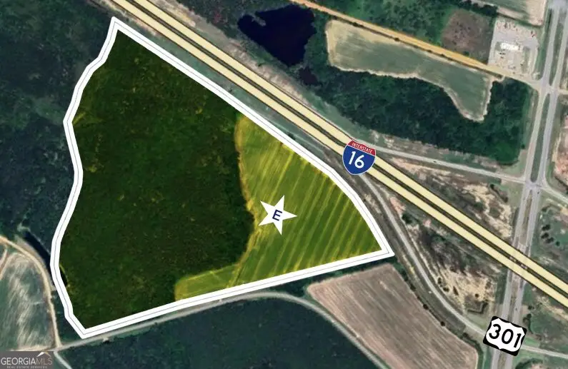 64.05 ACRES Highway 301, Register, GA 30452 - #1