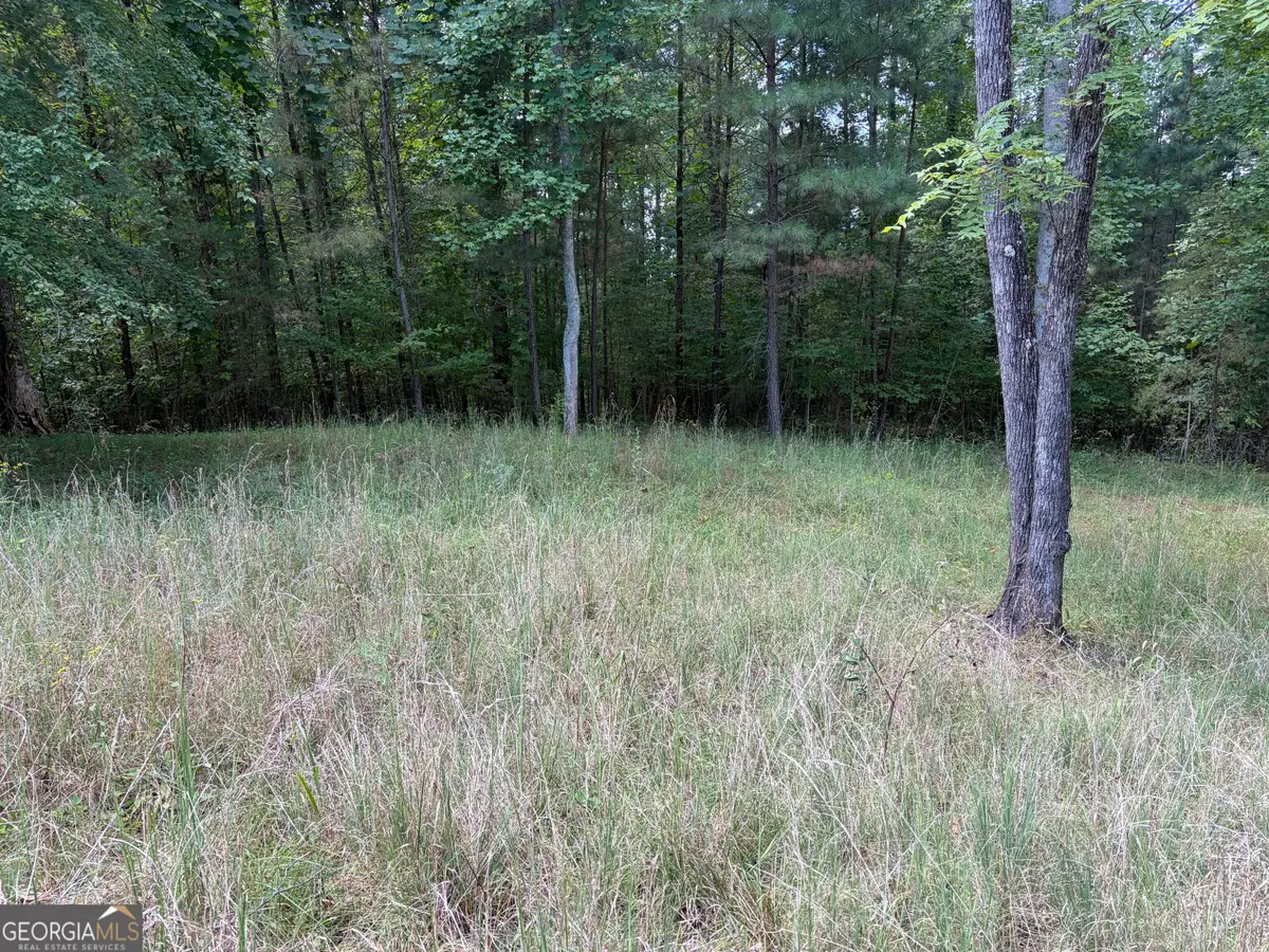 #41 Meadow Brooke Drive, Young Harris, GA 30582 - #1