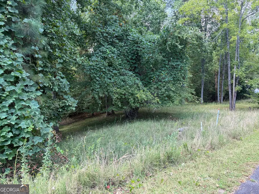 #41 Meadow Brooke Drive, Young Harris, GA 30582 - #3