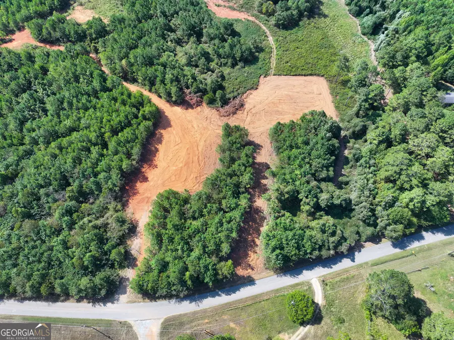 0 Cashtown Road - Tract 1 #TRACT 1, Aragon, GA 30104 - #2