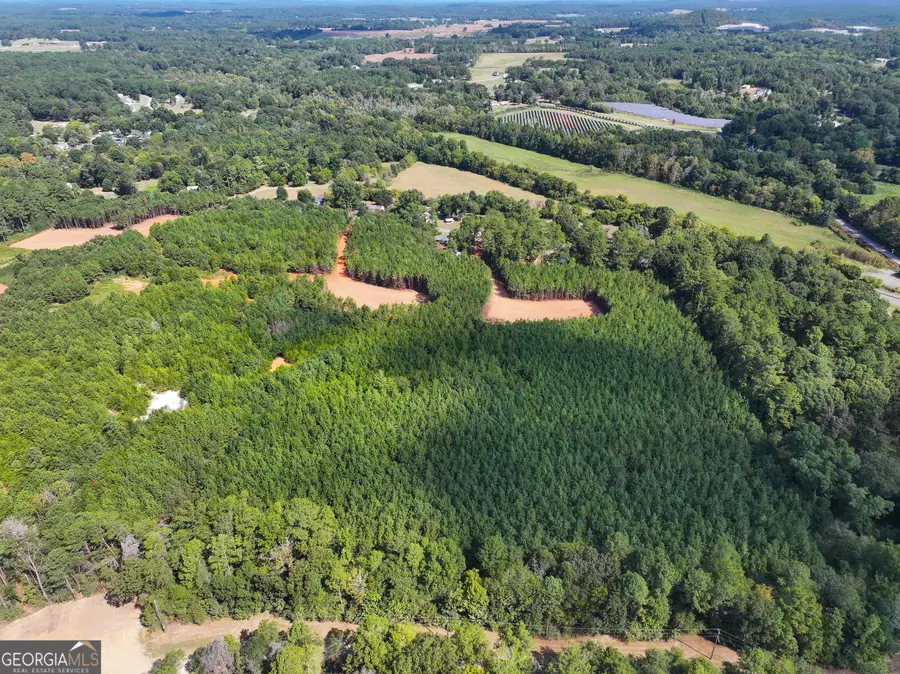 0 Cashtown Road - Tract 4 #TRACT 4, Aragon, GA 30104 - #2