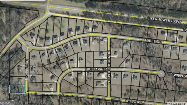 207 Big Pine Drive, Lizella, GA 31052