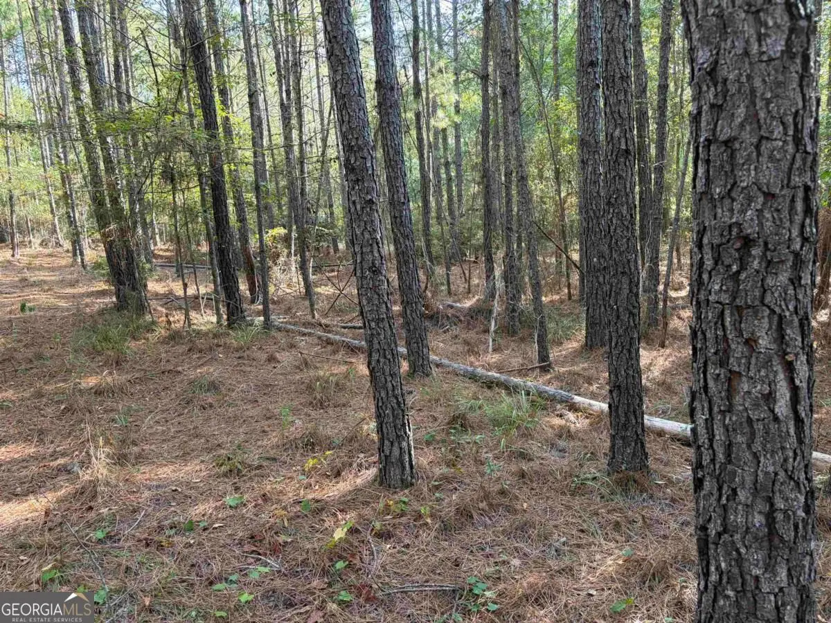 672 Twin Bridges Road, Eatonton, GA 31024 - #1