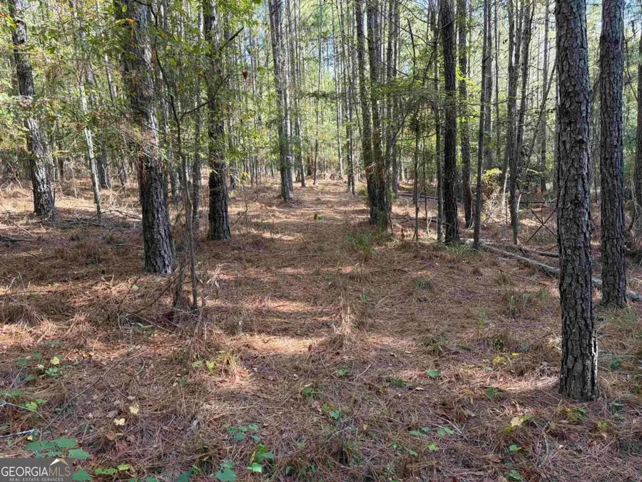 672 Twin Bridges Road, Eatonton, GA 31024 - #2