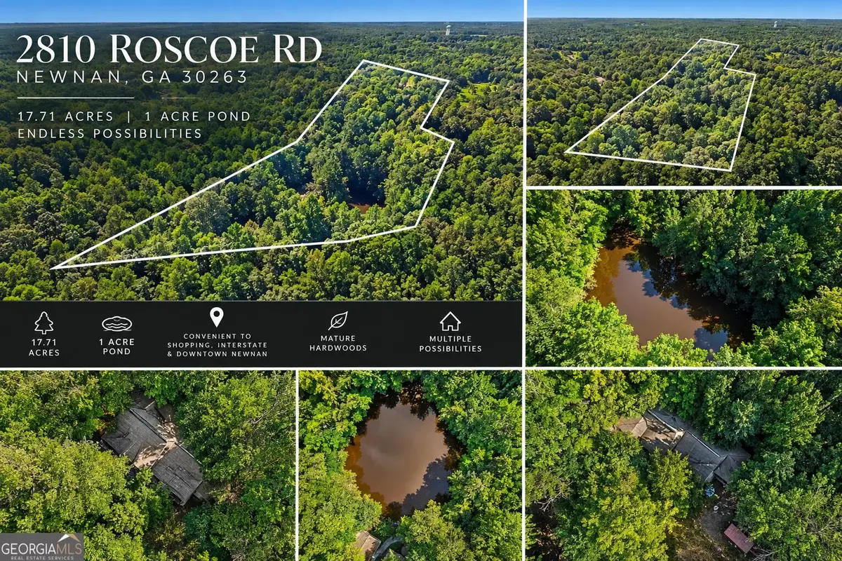 2810 Roscoe Road, Newnan, GA 30263 - #1