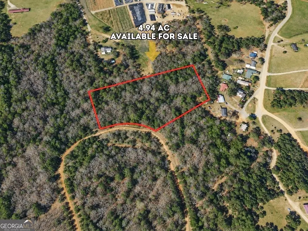 0 Nelson Creek, Louisville, GA 30434 - #1