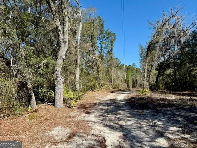 0 Live Oak Lane Road, Nevils, GA 31321 - #1