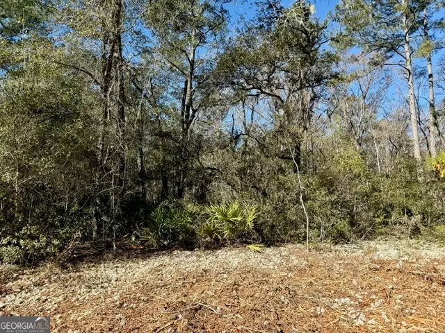 0 Live Oak Lane Road, Nevils, GA 31321 - #2