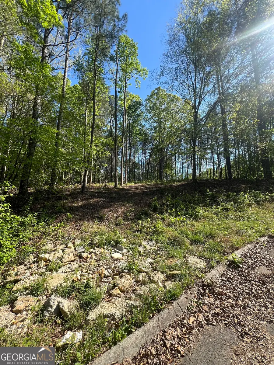 LOT #4 Battle Ridge Drive, Dalton, GA 30720 - #3