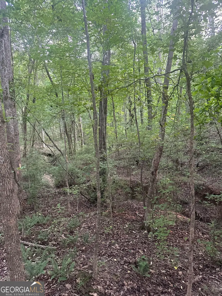 19.46 ACRES Tommy Lee Cook Road, Newnan, GA 30263 - #2