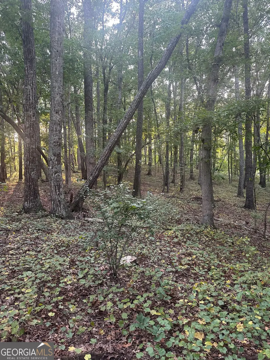 19.46 ACRES Tommy Lee Cook Road, Newnan, GA 30263 - #3