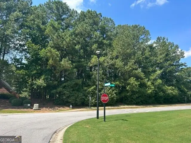 430 Winged Foot Drive, McDonough, GA 30253 - #1