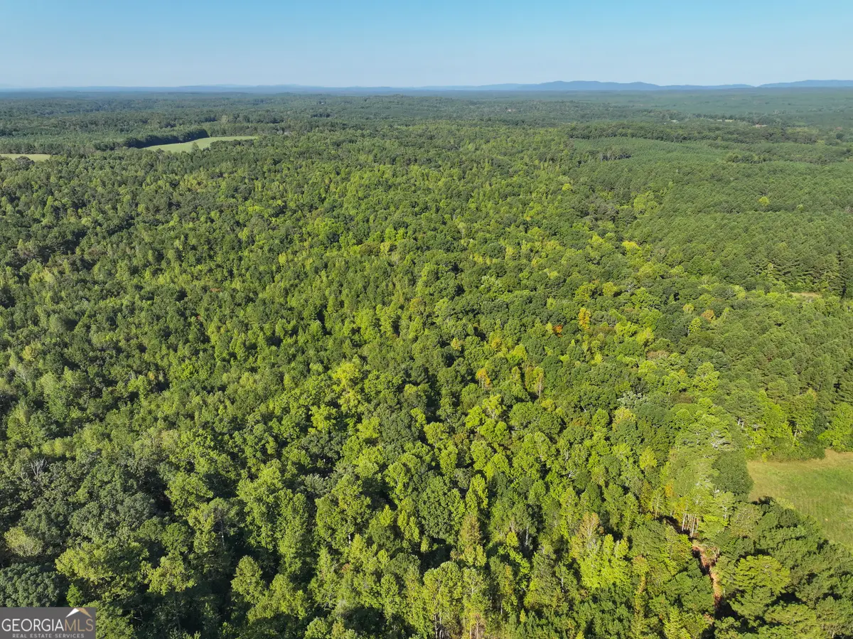 140 +/- Acres On Ga Hwy 100, Buchanan, GA 30113 - #1