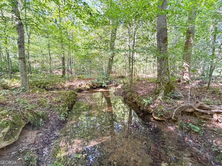 140 +/- Acres On Ga Hwy 100, Buchanan, GA 30113 - #3
