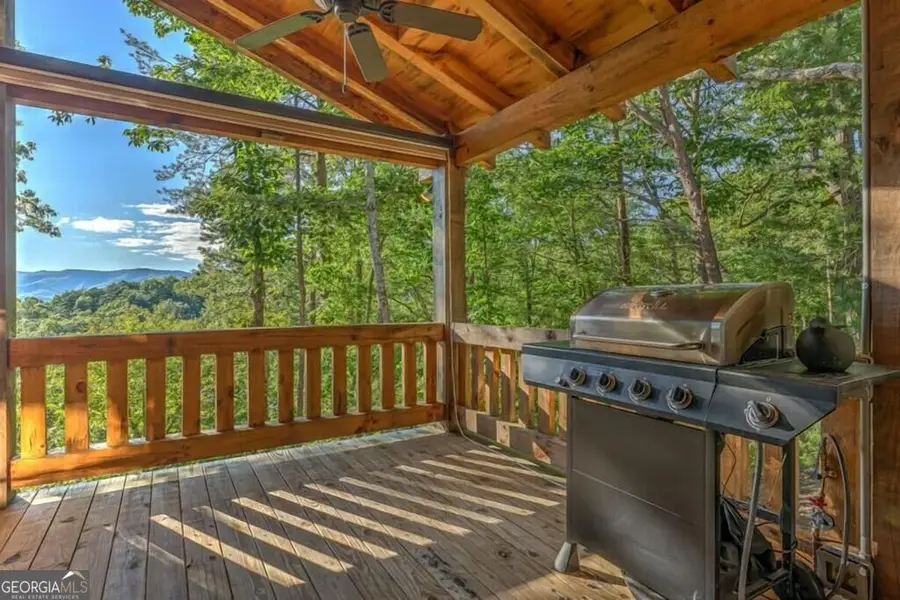 20 Smith Hill Road, Blue Ridge, GA 30513 - #2