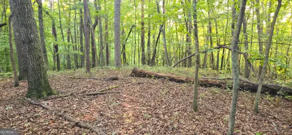 LOT 20 Seye Wailo Trail, Clarkesville, GA 30523