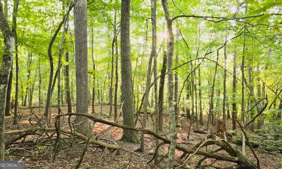 LOT 20 Seye Wailo Trail, Clarkesville, GA 30523 - #2