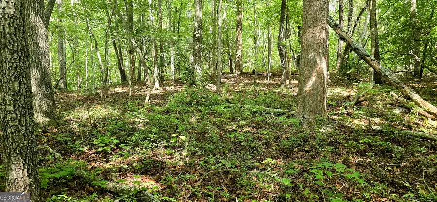 LOT 20 Seye Wailo Trail, Clarkesville, GA 30523 - #3