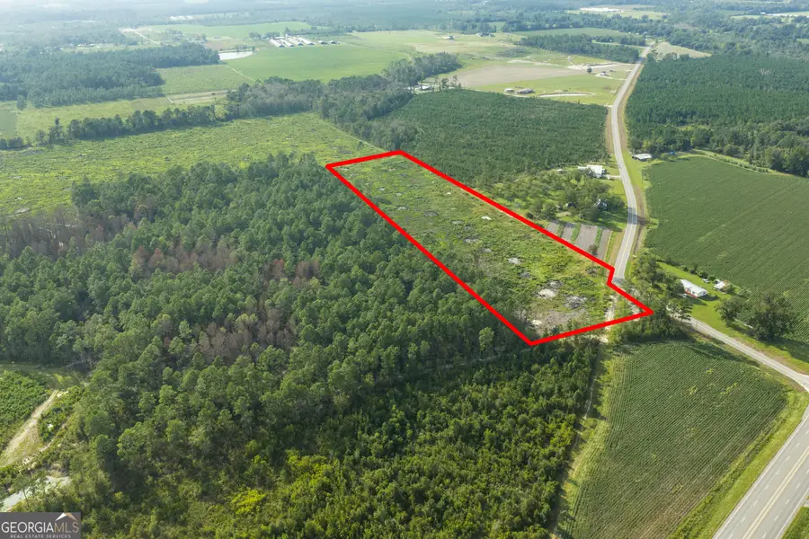 0 Piney Bluff Road, Altamaha River, GA 31513 - #2
