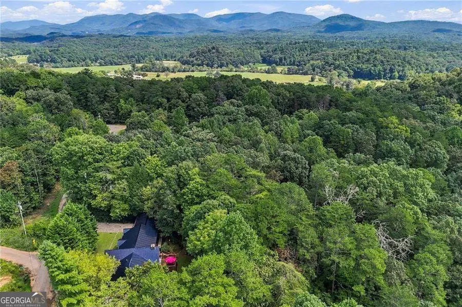 230 September Lane, Ellijay, GA 30540 - #3