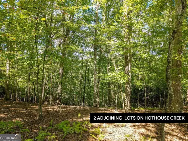 LT 27/28 Donna Lee Lane #27/28, Mineral Bluff, GA 30559