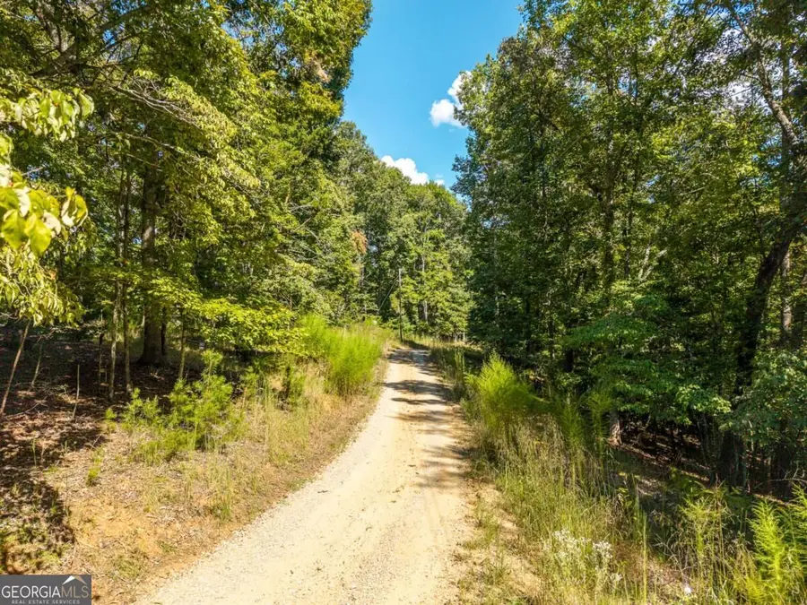 LT 27/28 Donna Lee Lane #27/28, Mineral Bluff, GA 30559 - #3