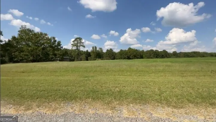 0 Drew Abney Circle, Cochran, GA 31014 - #2