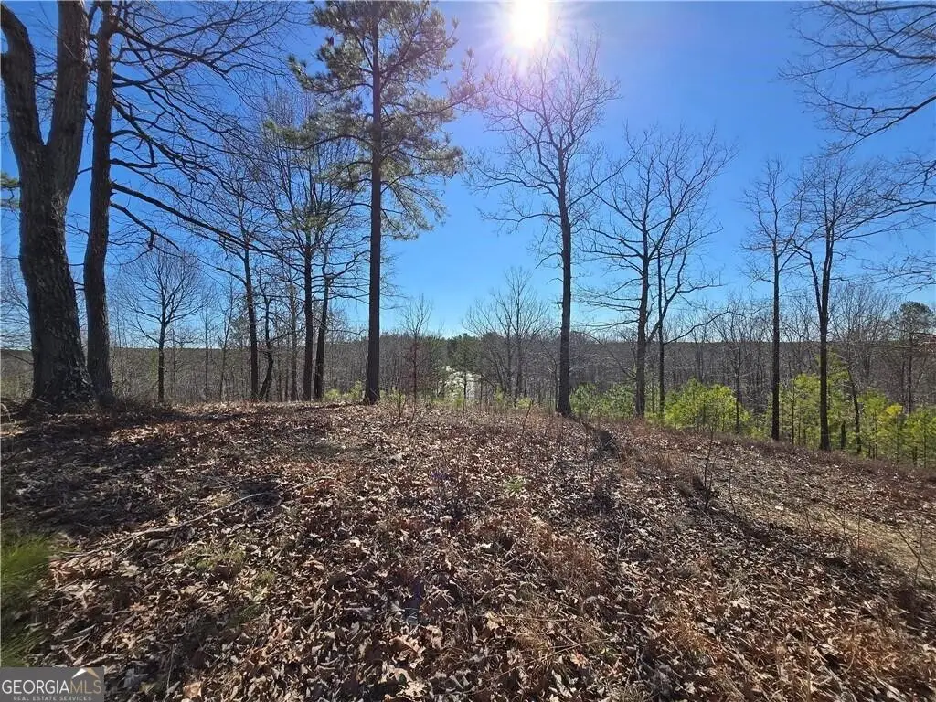 00 Brushy Mountain Road, Rockmart, GA 30153 - #1