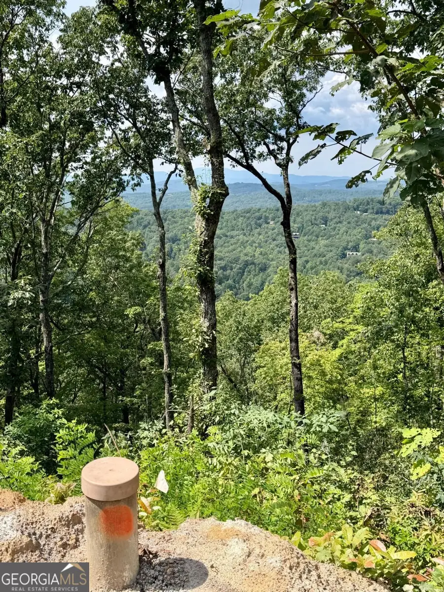 LOT 4 Blue Horizon Drive #4, Blue Ridge, GA 30513 - #2