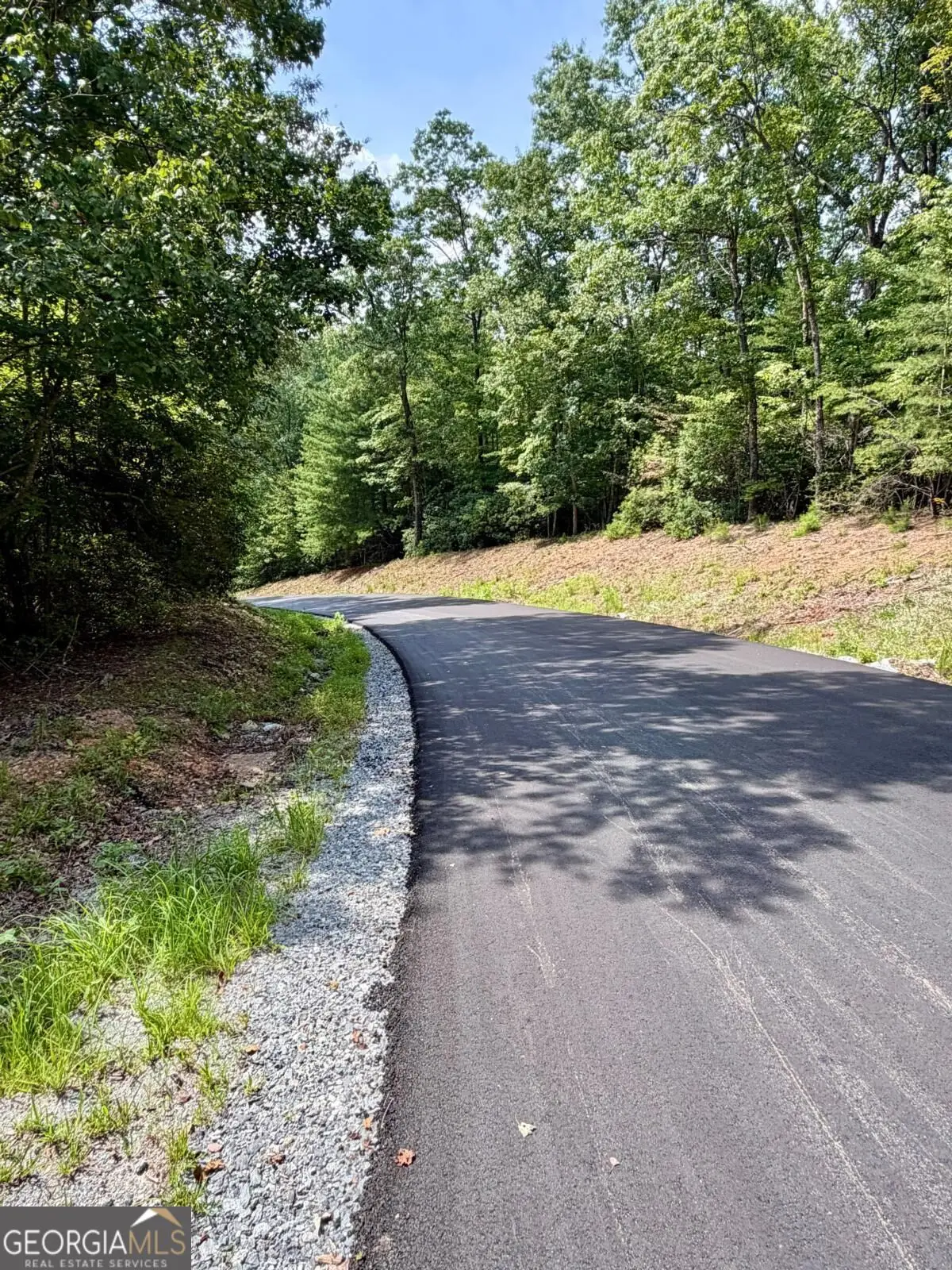 LOT 1 S Blue Horizon Drive, Blue Ridge, GA 30513 - #1