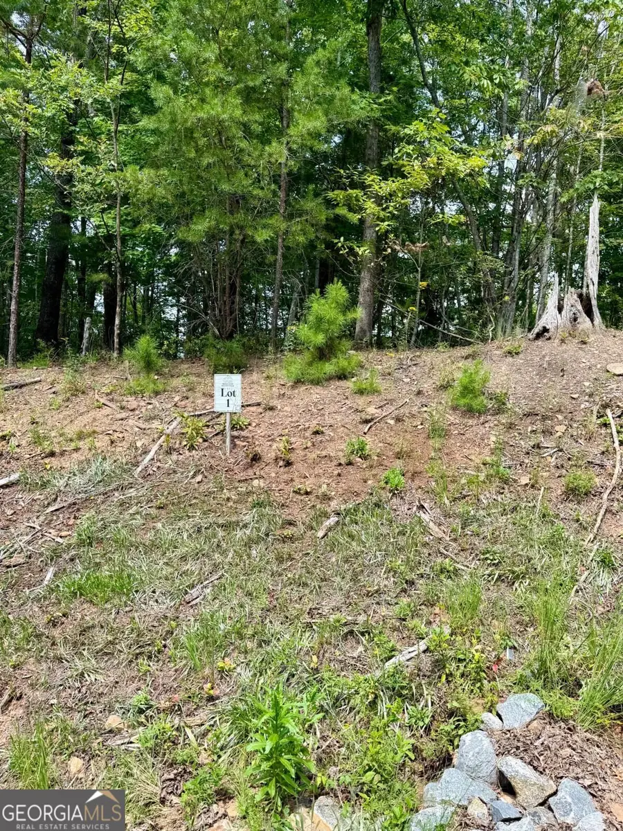 LOT 1 S Blue Horizon Drive, Blue Ridge, GA 30513 - #2