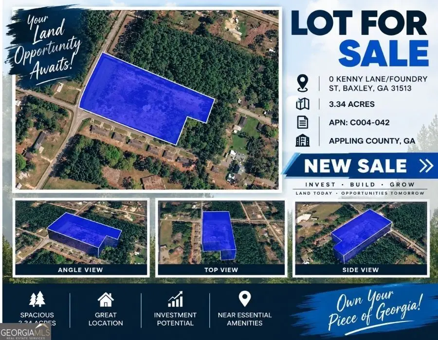0 Kenny Lane/foundry Street, Baxley, GA 31513 - #1