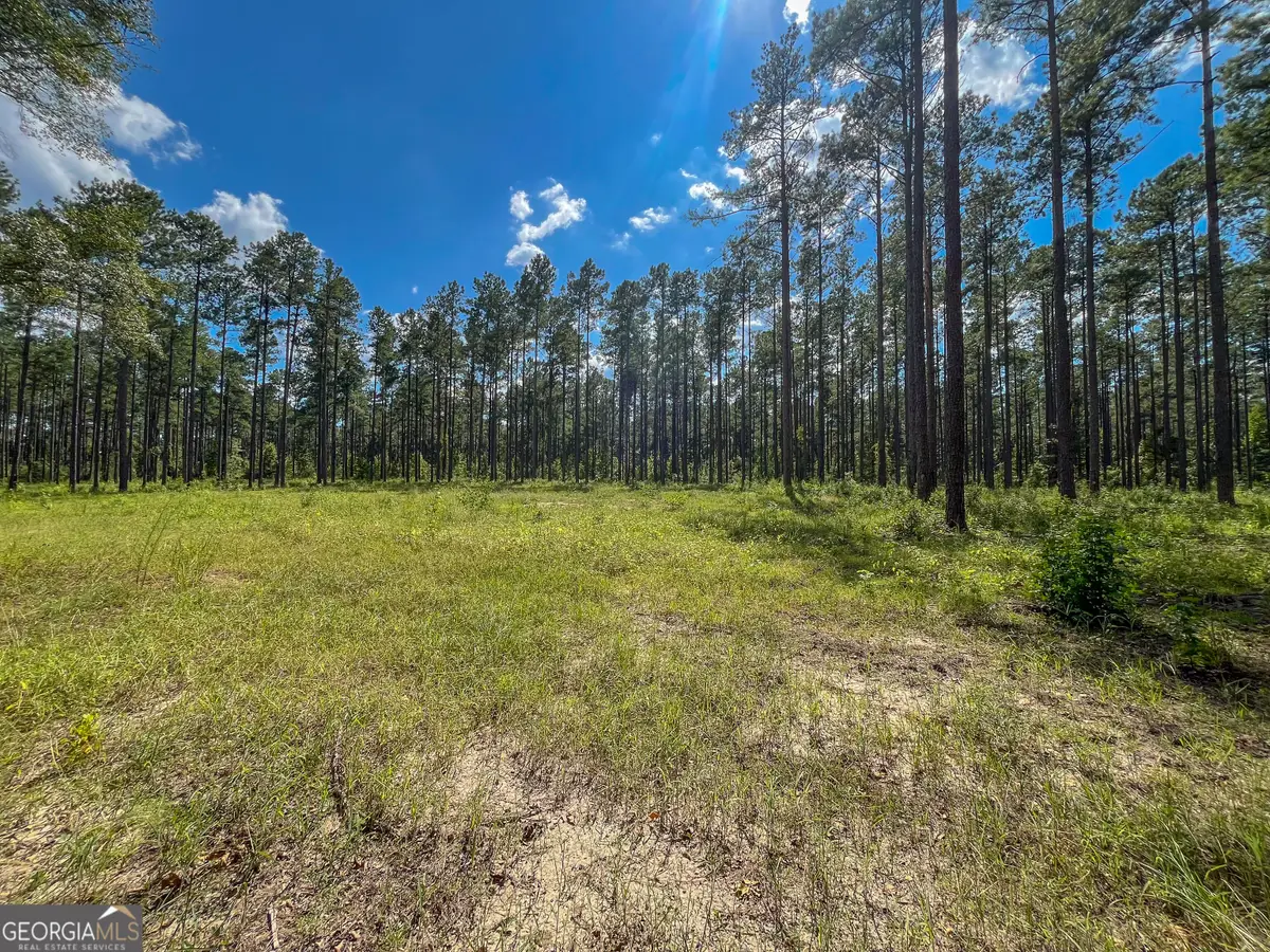 0 0 Mark Wood Rd. Lot 1, Dexter, GA 31019 - #1