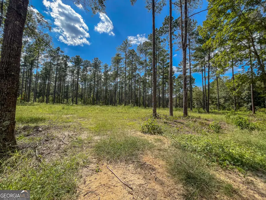 0 0 Mark Wood Rd. Lot 1, Dexter, GA 31019 - #3