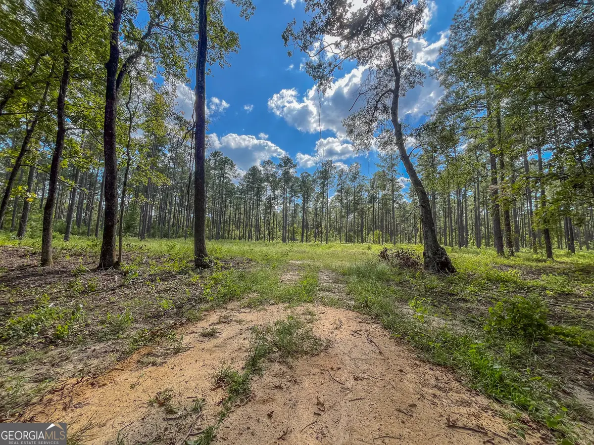 0 Mark Wood Rd. Lot 2, Dexter, GA 31019 - #1