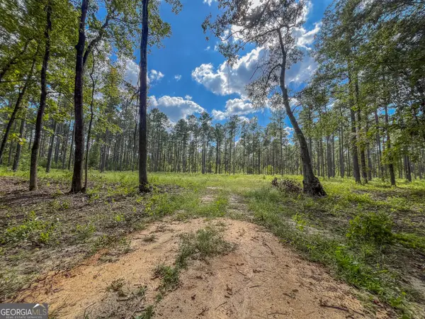 0 Mark Wood Rd. Lot 2, Dexter, GA 31019