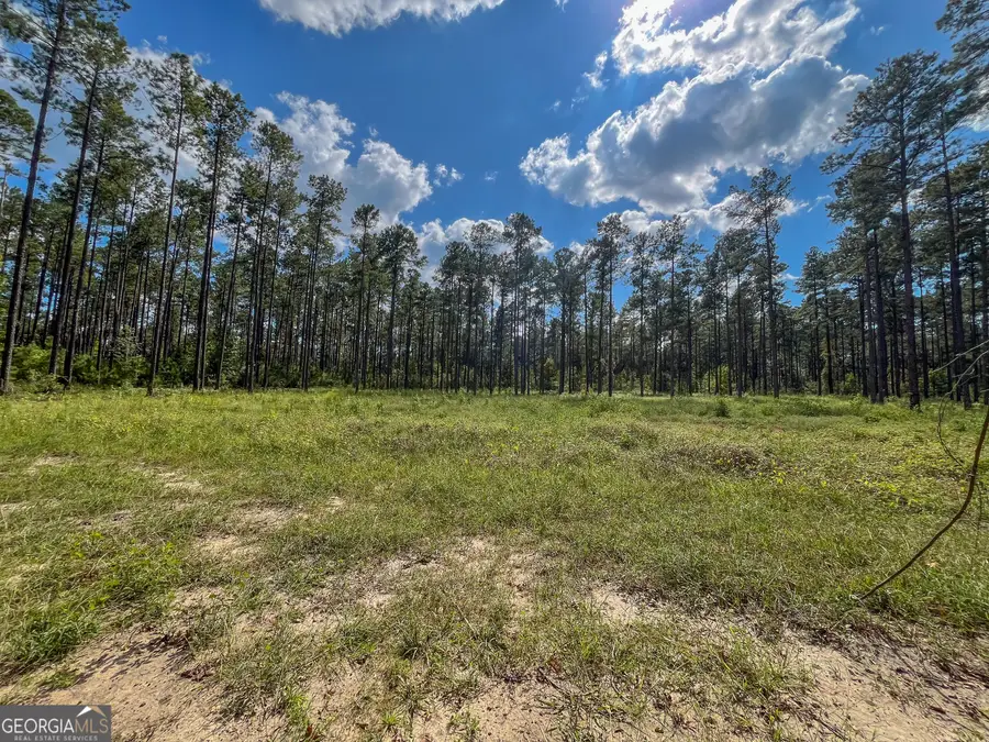 0 Mark Wood Rd. Lot 2, Dexter, GA 31019 - #3